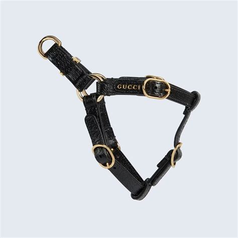 borg collar gucci|Gucci collars for cats.